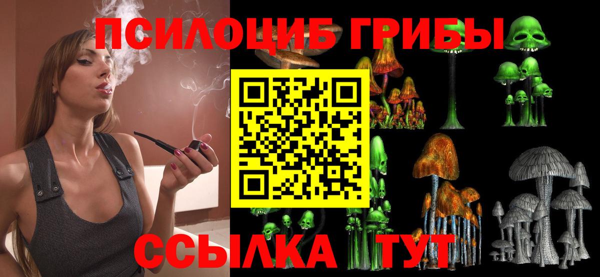 Галлюциногенные грибы Cubensis Волхов