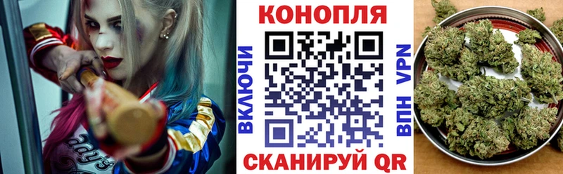 Шишки марихуана гибрид  Волхов 